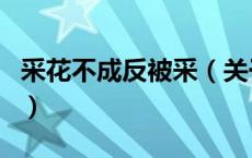 采花不成反被采（关于采花不成反被采的介绍）