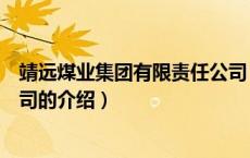 靖远煤业集团有限责任公司（关于靖远煤业集团有限责任公司的介绍）