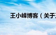 王小峰博客（关于王小峰博客的介绍）