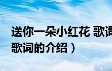 送你一朵小红花 歌词（关于送你一朵小红花 歌词的介绍）