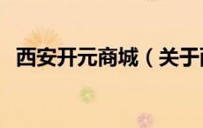 西安开元商城（关于西安开元商城的介绍）