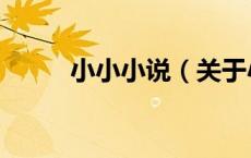 小小小说（关于小小小说的介绍）