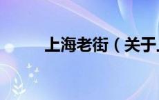 上海老街（关于上海老街的介绍）