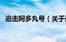 追击阿多丸号（关于追击阿多丸号的介绍）
