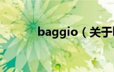 baggio（关于baggio的介绍）