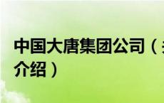 中国大唐集团公司（关于中国大唐集团公司的介绍）