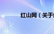 红山网（关于红山网的介绍）