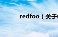 redfoo（关于redfoo的介绍）