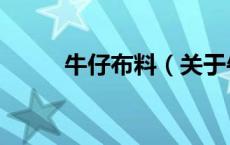牛仔布料（关于牛仔布料的介绍）