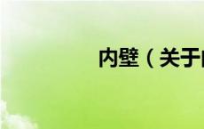 内壁（关于内壁的介绍）