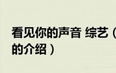 看见你的声音 综艺（关于看见你的声音 综艺的介绍）