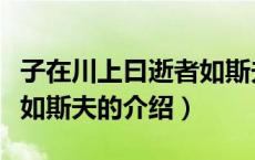 子在川上曰逝者如斯夫（关于子在川上曰逝者如斯夫的介绍）