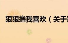 狠狠撸我喜欢（关于狠狠撸我喜欢的介绍）