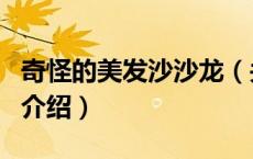 奇怪的美发沙沙龙（关于奇怪的美发沙沙龙的介绍）