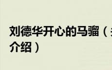 刘德华开心的马骝（关于刘德华开心的马骝的介绍）