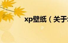 xp壁纸（关于xp壁纸的介绍）