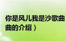 你是风儿我是沙歌曲（关于你是风儿我是沙歌曲的介绍）