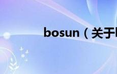 bosun（关于bosun的介绍）