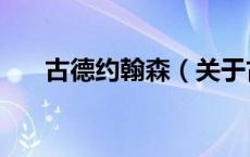 古德约翰森（关于古德约翰森的介绍）