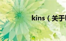 kins（关于kins的介绍）