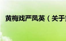 黄梅戏严凤英（关于黄梅戏严凤英的介绍）