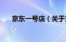 京东一号店（关于京东一号店的介绍）