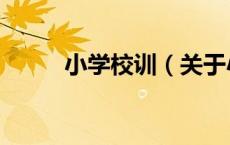 小学校训（关于小学校训的介绍）