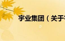 宇业集团（关于宇业集团的介绍）