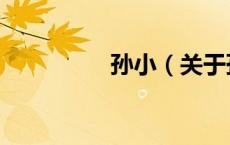 孙小（关于孙小的介绍）