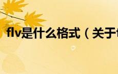 flv是什么格式（关于flv是什么格式的介绍）