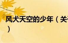 风犬天空的少年（关于风犬天空的少年的介绍）
