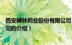 西安碑林药业股份有限公司（关于西安碑林药业股份有限公司的介绍）