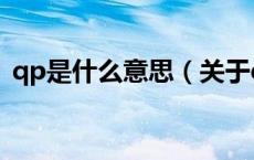 qp是什么意思（关于qp是什么意思的介绍）