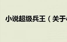 小说超级兵王（关于小说超级兵王的介绍）