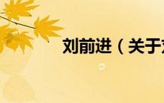 刘前进（关于刘前进的介绍）