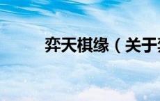 弈天棋缘（关于弈天棋缘的介绍）