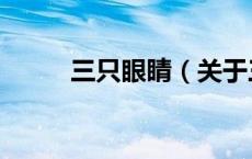 三只眼睛（关于三只眼睛的介绍）
