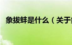 象拔蚌是什么（关于象拔蚌是什么的介绍）