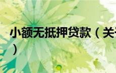 小额无抵押贷款（关于小额无抵押贷款的介绍）