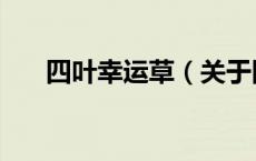四叶幸运草（关于四叶幸运草的介绍）