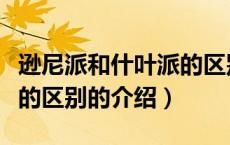 逊尼派和什叶派的区别（关于逊尼派和什叶派的区别的介绍）