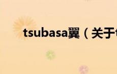 tsubasa翼（关于tsubasa翼的介绍）