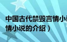 中国古代禁毁言情小说（关于中国古代禁毁言情小说的介绍）