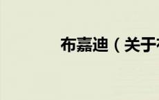 布嘉迪（关于布嘉迪的介绍）