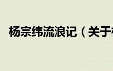 杨宗纬流浪记（关于杨宗纬流浪记的介绍）