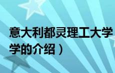 意大利都灵理工大学（关于意大利都灵理工大学的介绍）