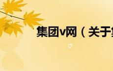 集团v网（关于集团v网的介绍）