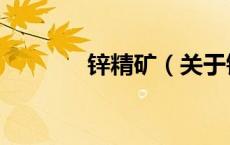 锌精矿（关于锌精矿的介绍）