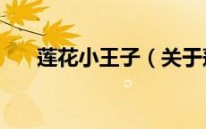 莲花小王子（关于莲花小王子的介绍）