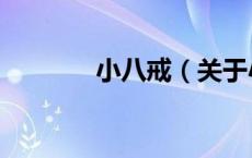 小八戒（关于小八戒的介绍）